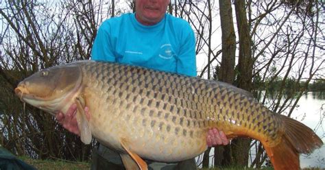 The 25 Greatest Captures That Shaped Carp Fishing Part 2