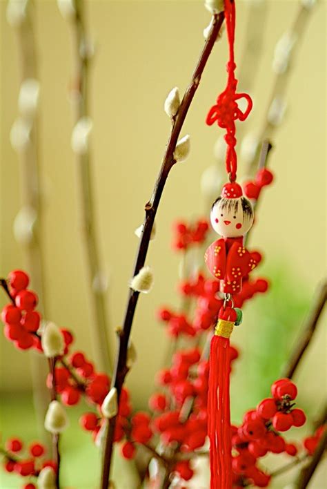 Chinese new year decorations,generci chinese character symbolize. Chinese New Year decorations - a traditional home decor