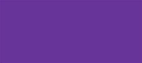 Hex Color 663399 Color Name Royal Purple Rgb10251153 Windows