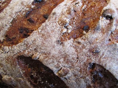 Moisture can keep the dough soft and pliable until it stops expanding. Scandinavian Rye Bread: Hearty and Wholesome - Dolce Forno