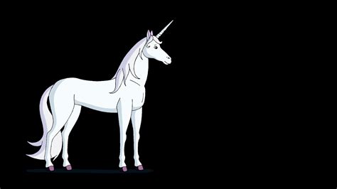 White Fairy Tale Unicorn Walks Stock Motion Graphics Sbv 312621747