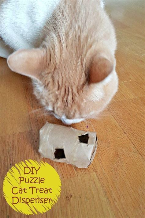 Diy Cat Treat Dispenser This Easy Tutoprial Will Keep Your Pets Happy
