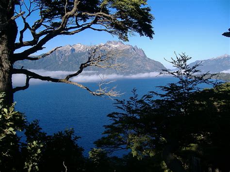 Lanín National Park Argentinas Lake District