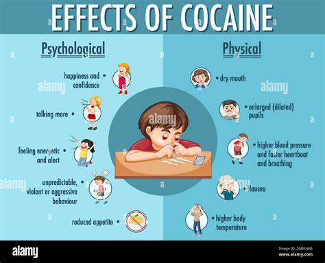 Efectos De La Infografía Informativa Sobre La Cocaína Imagen Vector De