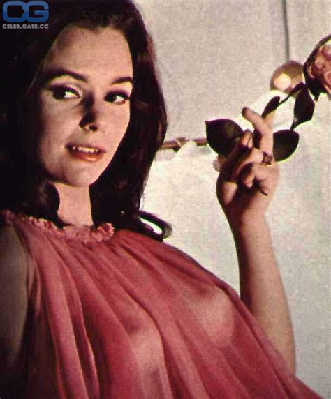 Susan Strasberg Nude Telegraph