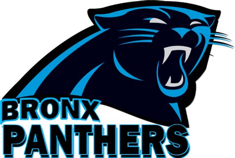 Panther Clipart Pioneer Carolina Panthers Address Logo Png Download