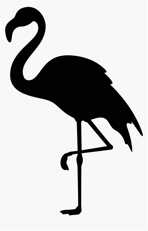Free Flamingo Vector Silhouette Hd Png Download Transparent Png