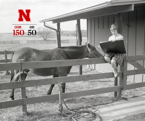 Ag Institute Marks 50 Years Of Work With Nebraskas Economic ‘heartbeat