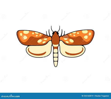 Nocturnal Moth Butterflies And Moth Seamless Vector Background