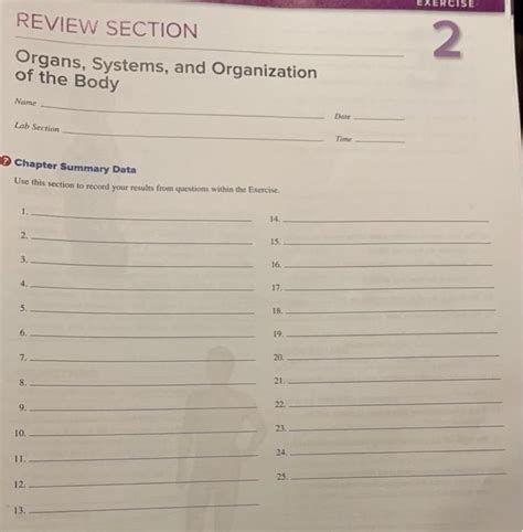 Solved Exercise Review Section 2 Organs Systems And