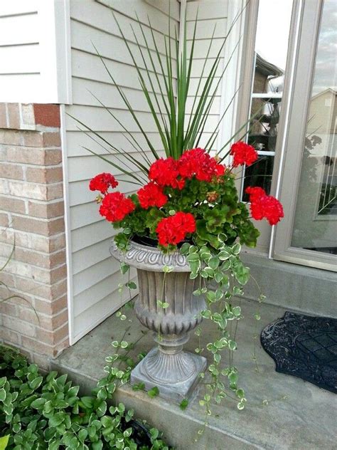 Geranium Front Porch Flower Pots Porch Flowers Potted Geraniums