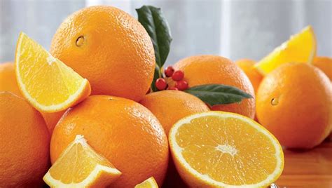 13 Of The Popular Types Of Sweet And Bitter Oranges