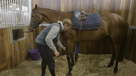 How To Tack Up A Racehorse Horsehowto Youtube
