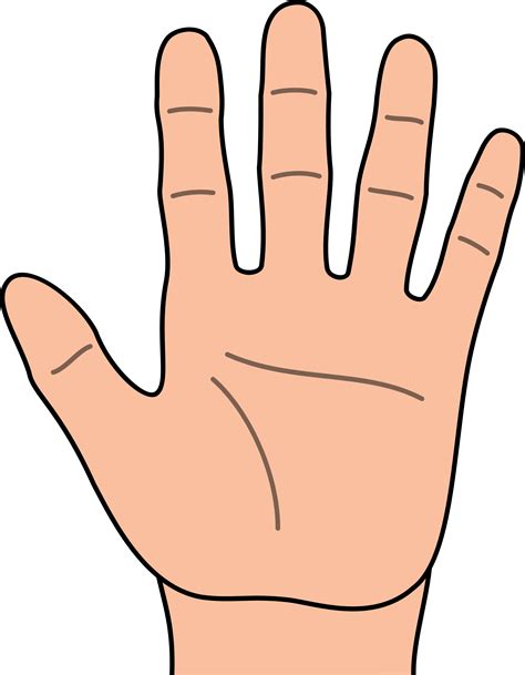 Free Hands Clipart Png Download Free Hands Clipart Png Png Images