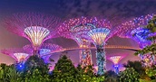 Gardens by the Bay Entrances Explained | Which to Choose?