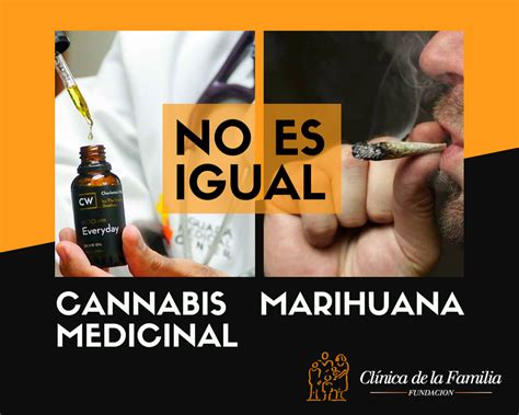 Campaña Informativa Sobre Cannabis Medicinal Y Marihuana Fundación