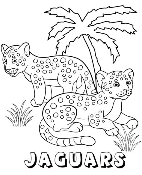 Jaguar Coloring Pages Best Coloring Pages For Kids