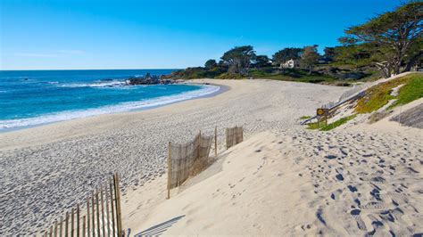 Monterey Turismo Qué Visitar En Monterey California 2022 Viaja Con