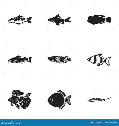 Aquarium Fish Set Icons In Black Style Big Collection Of Aquarium Fish