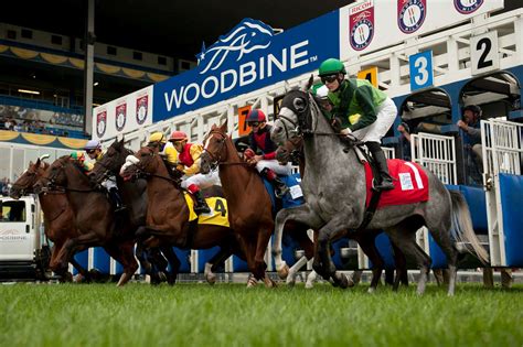 Casse Looks To Sweep Juvenile Breeders Cup Challenge Races At Woodbine
