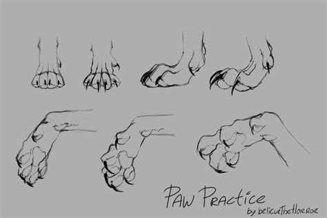 Paw Practice By Fleshqb On Deviantart