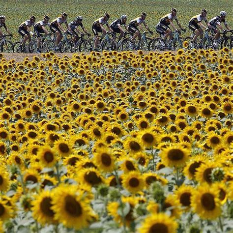 The Tour De France Is Now In Its Second Week With