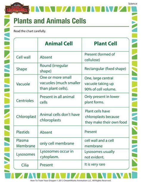 Plants And Animals Cells Printable Science Worksheets For 5th Grade
