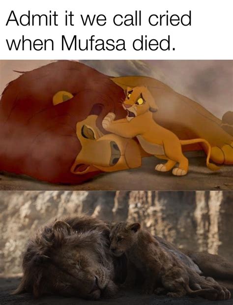 The Lion King Rmemes