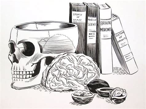 Vintage Original Illustration Art For Medical Quackery Book Skull
