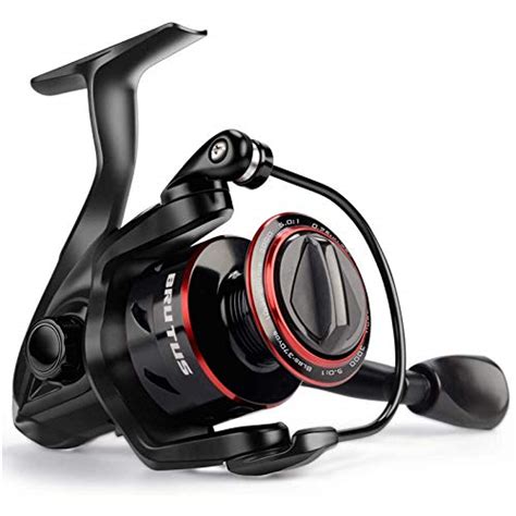 What Is The Best Shishamo Fishing Reels In Glory Cycles