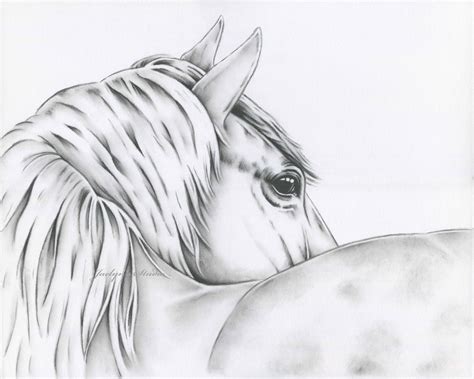Black And White Horse Drawings At Explore