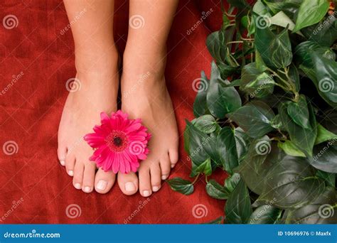 Pedicured Feet Stock Photo Image Of Nail Female Woman 10696976