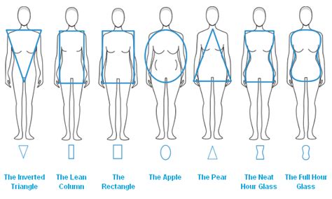 Women S Body Types Chart