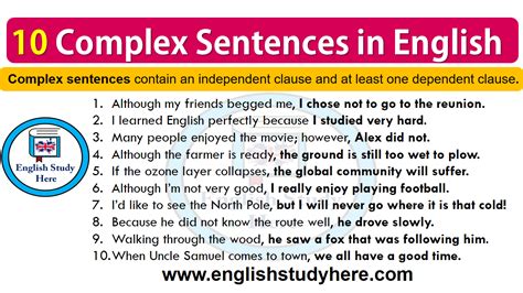 10 Complex Sentences In English English Study Here
