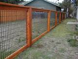 Inexpensive Wood Fencing Photos