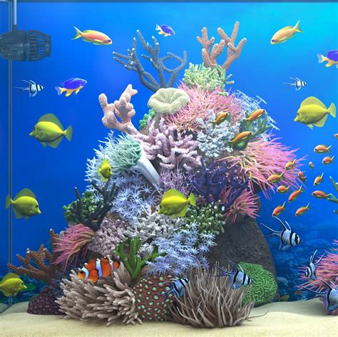 3d Marine Aquarium Screensaver Pilotmaven