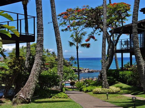 Napili Point Resort Walkway To Pool And Ocean Maui Condo Maui