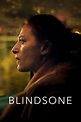 ^VER^~''Blind Spot'' Pelicula - Completa Online en Español Subtitulada ...