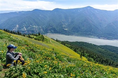 11 Best Spring Hikes In Washington State