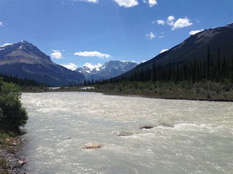 Athabasca River Runs Along Highway 93 The Ice Fields Parkway