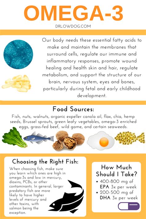 How Many G Of Omega 3 Per Day Mchwo
