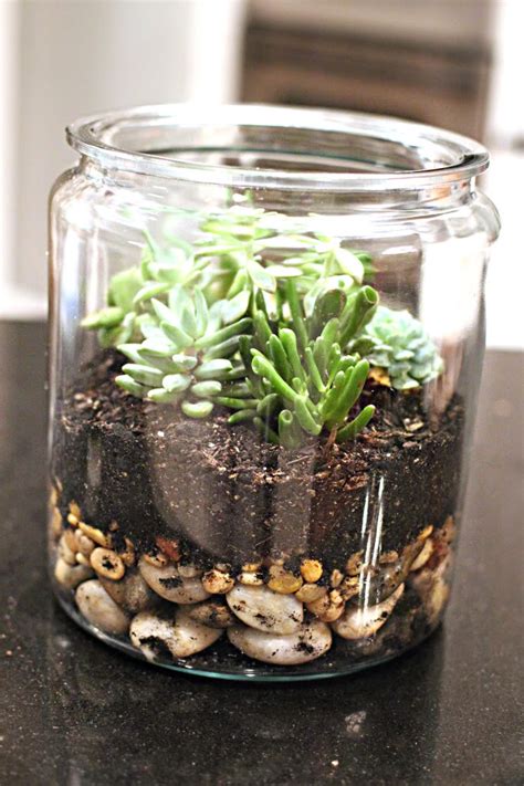 Easy Diy Succulent Planters Free Printable Included