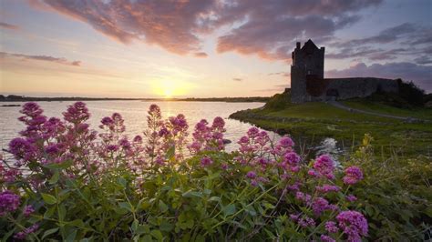 Sunset Castles Flowers Ireland Lakes Castle Wallpaper 1920x1080