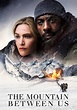 Poster The Mountain Between Us (2017) - Poster Muntele dintre noi ...