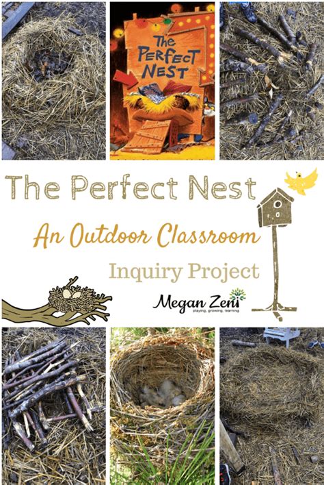 63 Outdoor Learning Activities Kids Will Love Hands On Teaching Ideas