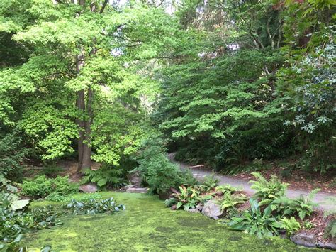 Woodland Garden University Of Washington Botanic Gardens