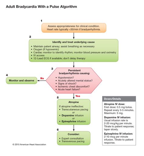 Advanced Cardiac Life Support Acls Acls Algorithm