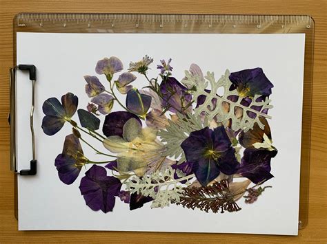 Original Pressed Flower Art Pressed Flower Art Herbarium Etsy