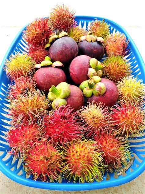 Manojo De Fruta Fresca Orgánica Rambutan Y Mangosteen Foto De Archivo