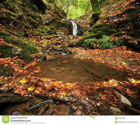 Waterfall In Autumn Forest Stock Images Image 19957634